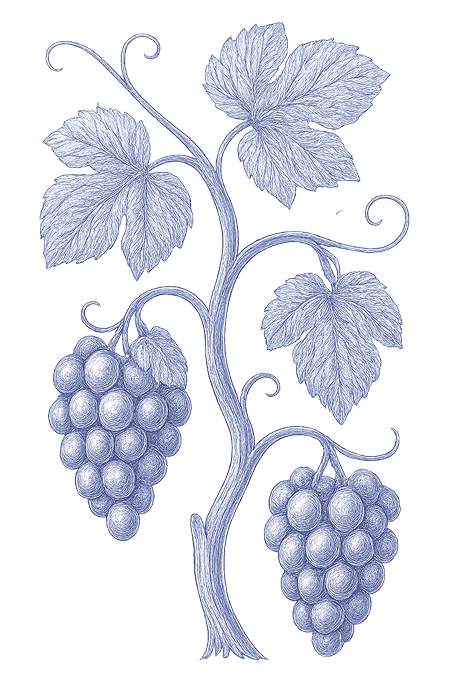 flower background
