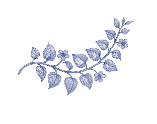 flower background